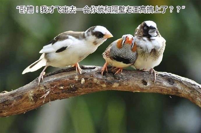 家里电脑没人qq小号突然上线是不是招贼赶紧开视频竟然是！把我惊呆了