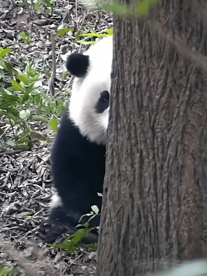 我偷偷地把我的QQ小号给了他然后陪他聊了三年