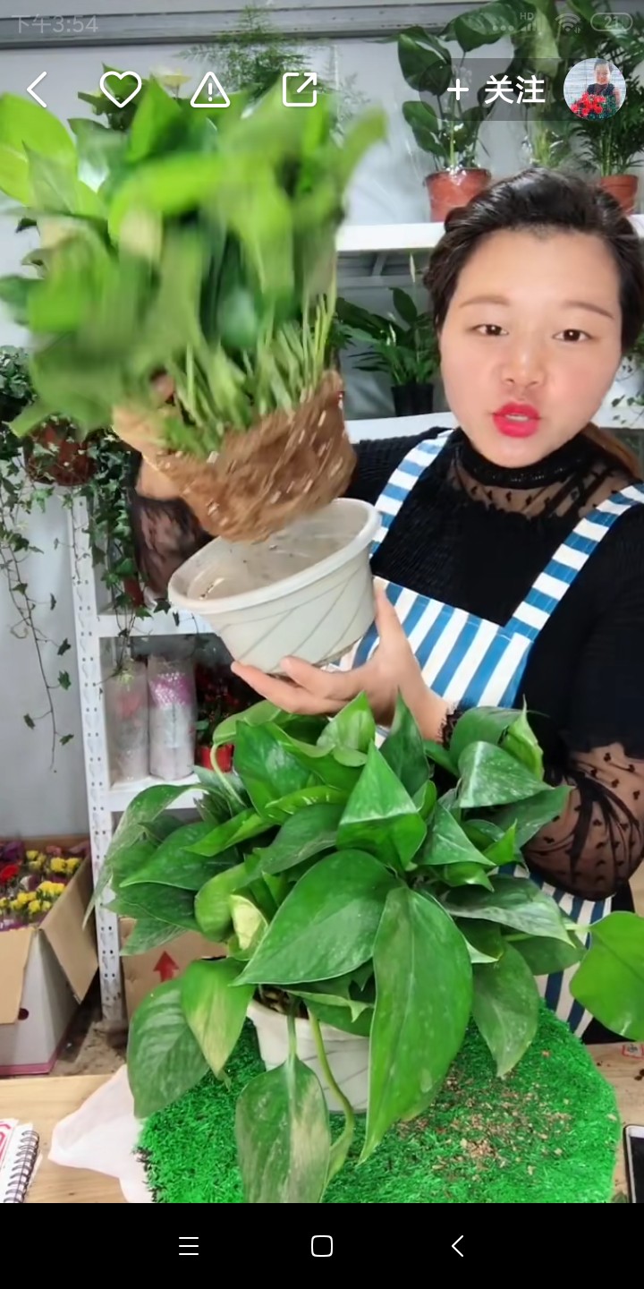 屡试不爽:教你如何把快手变成自己的副业